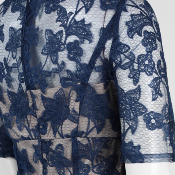 Adrianna Papell Pleated Embroidered Mesh Dress - Picture 5 of 6